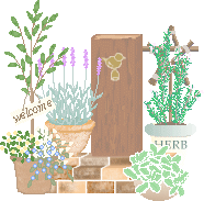 summer garden
